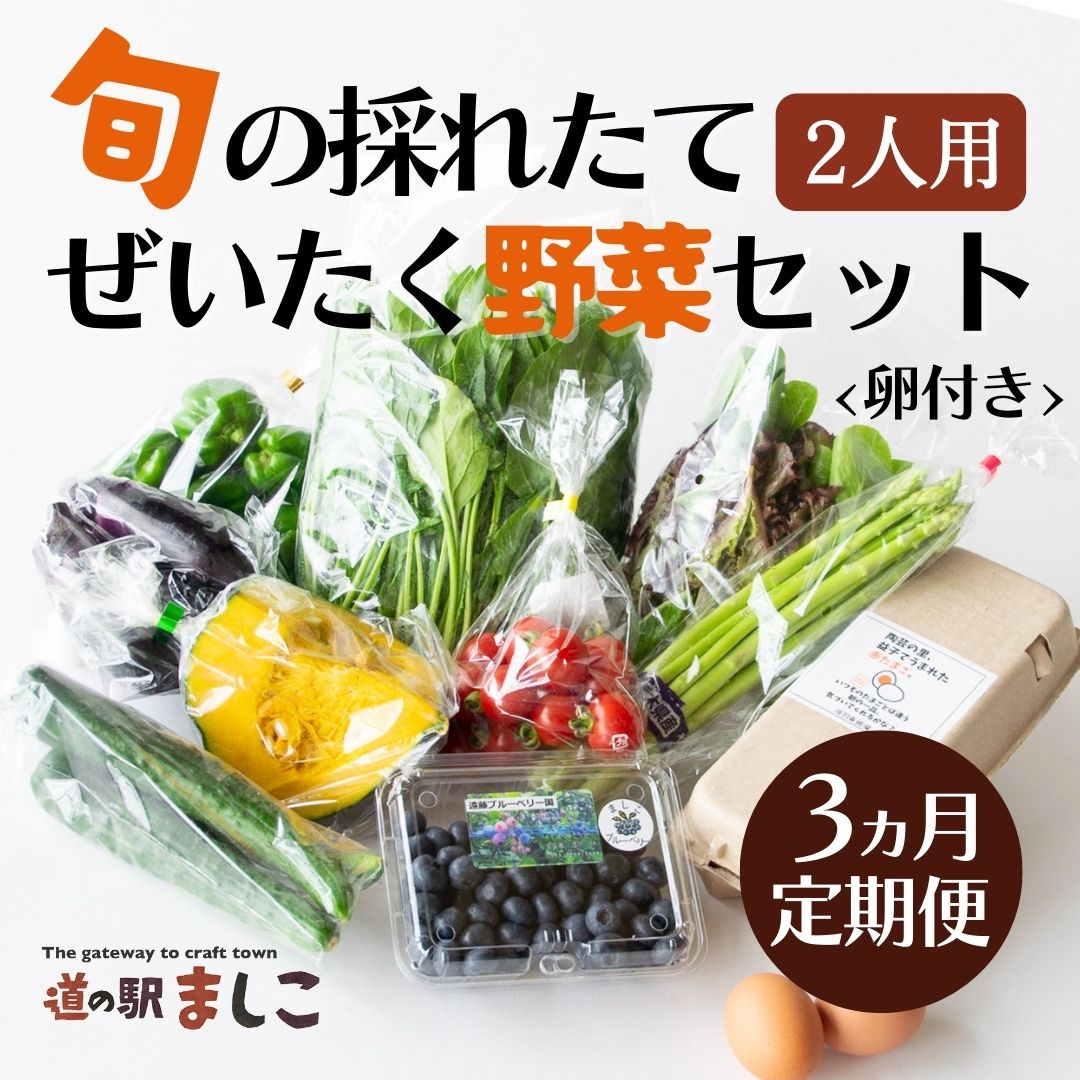 [3か月定期便]旬の採れたてぜいたく野菜セット(卵付き)2人用