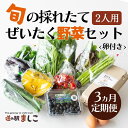 26位! 口コミ数「0件」評価「0」＜3か月定期便＞旬の採れたてぜいたく野菜セット（卵付き）2人用(AA002)