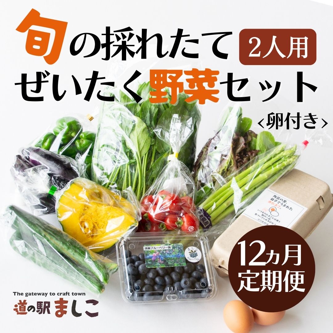 【ふるさと納税】＜12か月定期便＞旬の採れたてぜいたく野菜セット（卵付き）2人用(AA035)