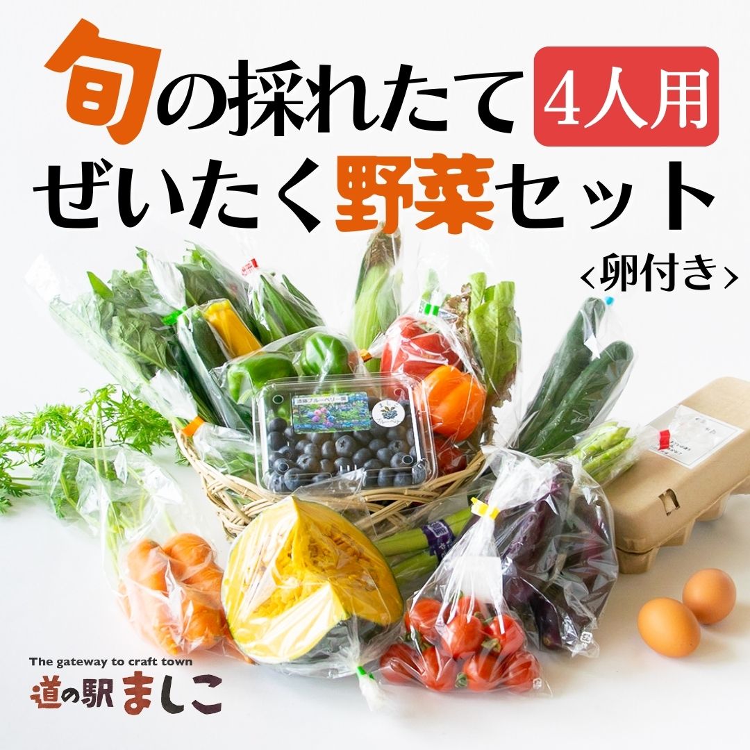 【ふるさと納税】旬の採れたてぜいたく野菜セット（卵付き）4人用(AA005)