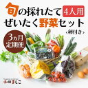 21位! 口コミ数「0件」評価「0」＜3ヶ月定期便＞旬の採れたてぜいたく野菜セット（卵付き）4人用(AA006)