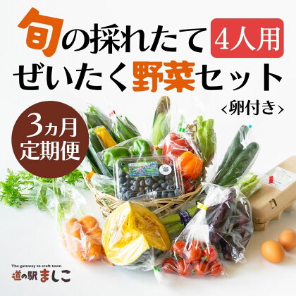 ＜3ヶ月定期便＞旬の採れたてぜいたく野菜セット（卵付き）4人用(AA006)