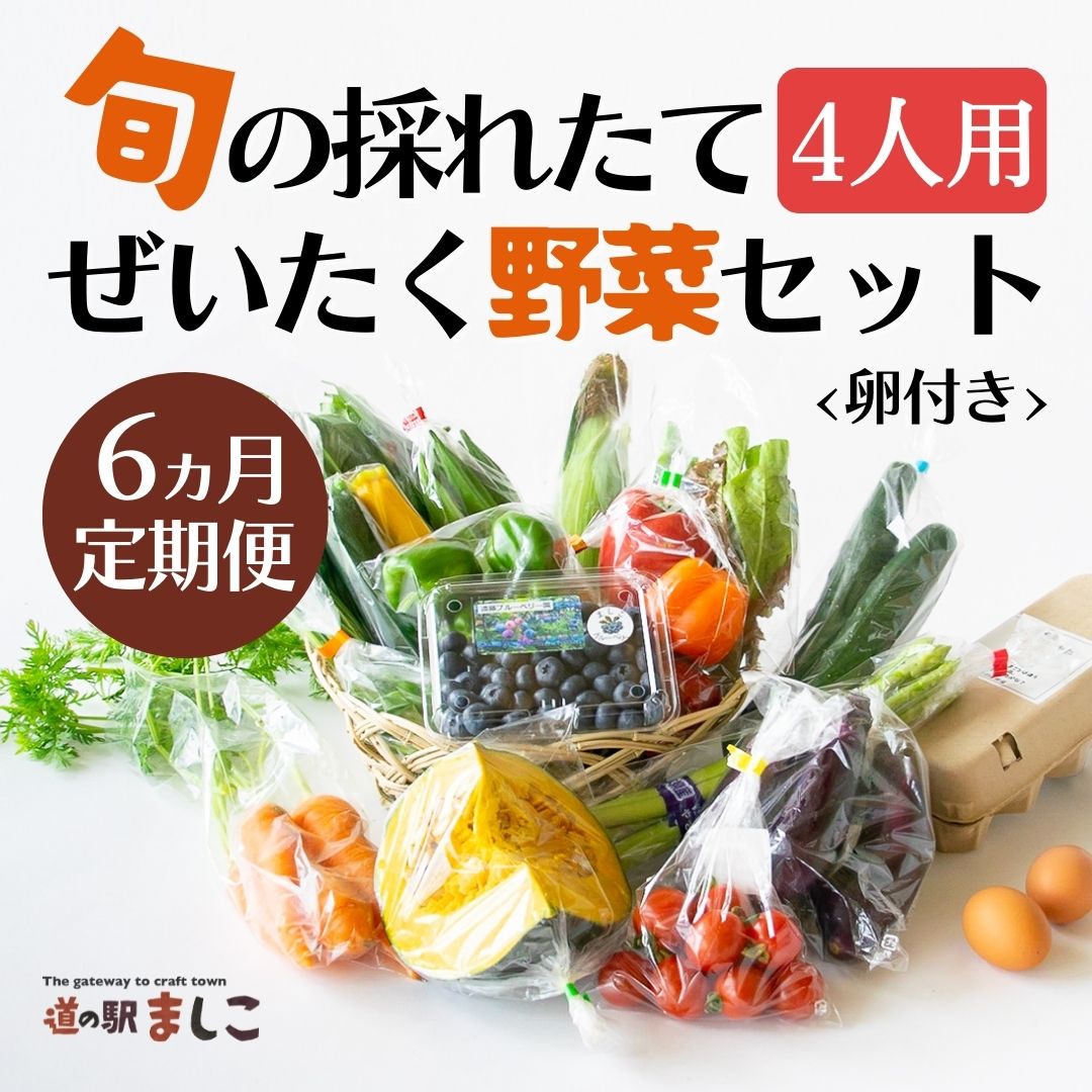 【ふるさと納税】<6ヶ月定期便>旬の採れたてぜいたく野菜セット(卵付き)4人用 益子町 ふるさと納税 野菜 やさい 野菜セット セット 卵 たまご 旬野菜 定期便(AA007)