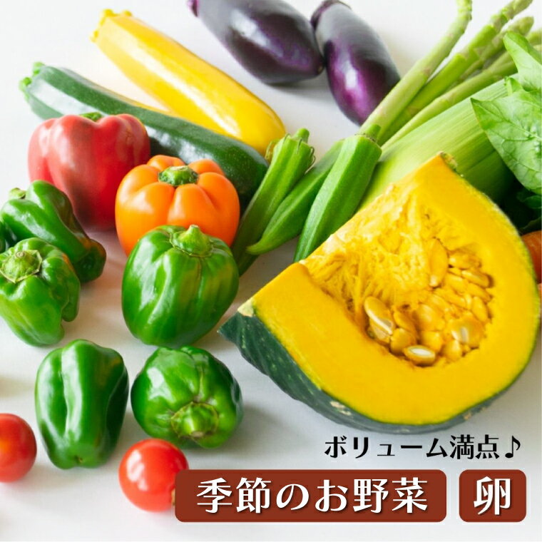 【ふるさと納税】＜3か月定期便＞旬の採れたてぜいたく野菜セット（卵付き）2人用(AA002)