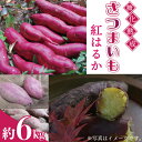 【ふるさと納税】糖化熟成さつまいも　約6kg　紅はるか(AU001-2)