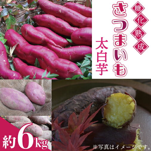 【ふるさと納税】【2024年12月上旬より順次発送】【先行予約】糖化熟成さつまいも(太白芋)　約6kg(AU001-4)のサムネイル