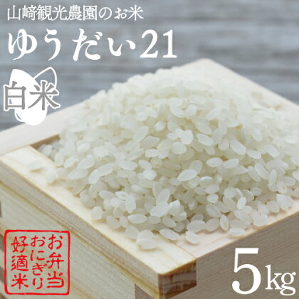 山崎観光農園のお米　令和5年産　ゆうだい21　白米5kg(AU006)