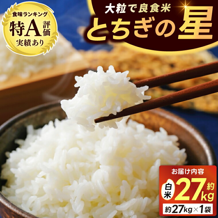 山崎観光農園のお米 ＼とちぎの星 白米27kg/|栃木県 益子町 ふるさと納税 お米 大容量 米 白米 精米 約27kg