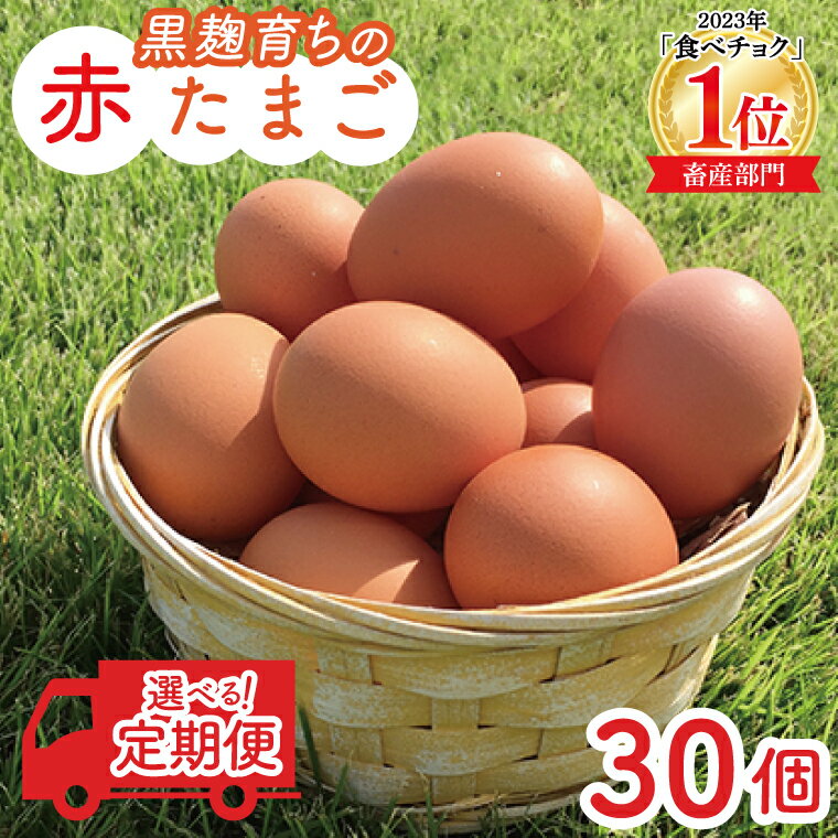 【ふるさと納税】たまご 定期便 30個 セット 【 選べる 回数 発送月 3回/6...