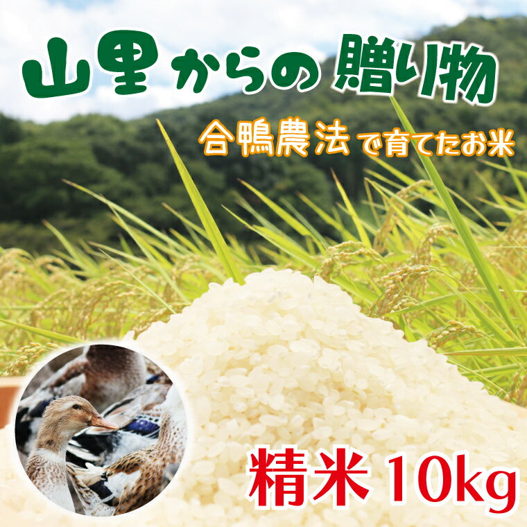 山里からの贈り物 合鴨農法 米 精米 10kg