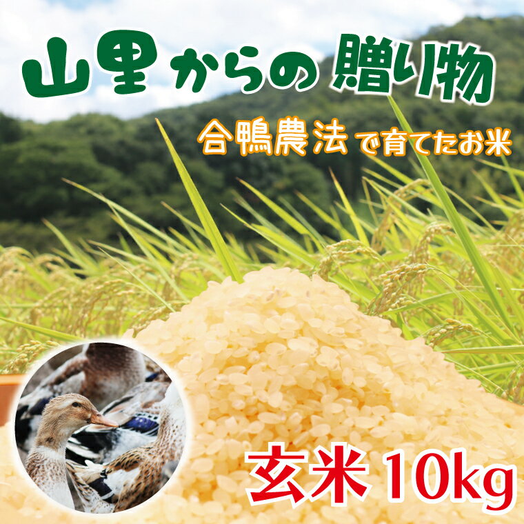 [先行予約]山里からの贈り物 合鴨農法 玄米 10kg