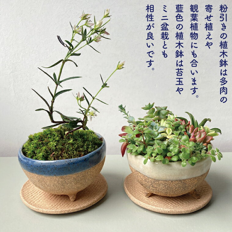 【ふるさと納税】益子焼の植木鉢セット(植木鉢とトレーのセット)を2セット　多肉植物の寄せ植えや苔玉、ミニ盆栽に（BU001）