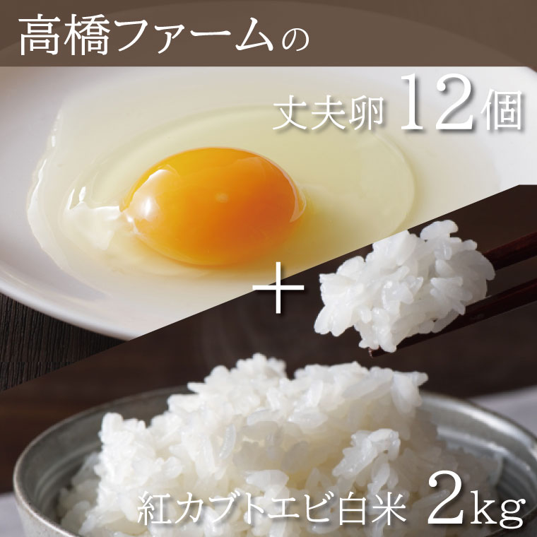 【ふるさと納税】高橋ファームの丈夫卵12個＋紅カブトエビ白米2kg(AQ006)
