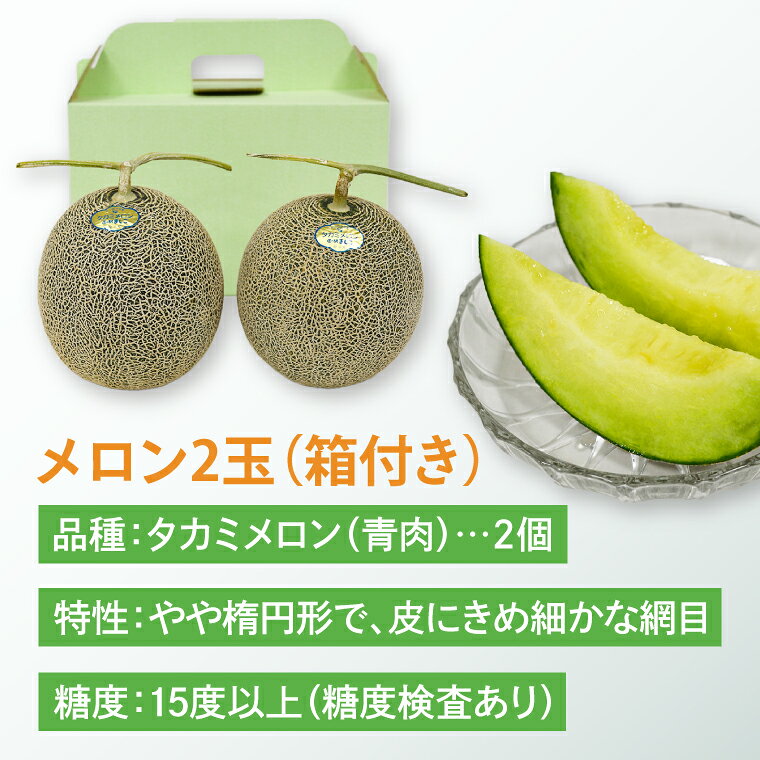 【ふるさと納税】【先行予約】【数量限定】タカミメロン 2個セット｜青肉・高糖度｜みずみずしい上品な甘さ｜産地直送｜栃木県益子町　タカミ　メロン　プレゼント　お中元　産地直送　果肉　フレッシュ　(AA021)