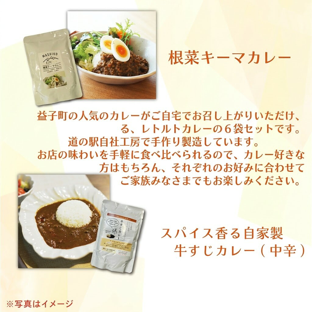 【ふるさと納税】益子のレトルトカレー　食べ比べ6種アソート｜栃木県益子町ふるさと納税カレーレトルトカレーご当地カレー詰め合わせセット（AA024） f093424-mashiko-10000654 栃木県益子町 サンプル画像2