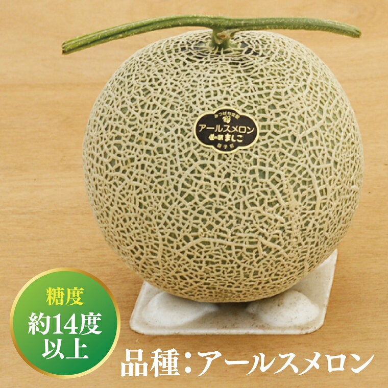 【ふるさと納税】【数量限定】アールスメロン1玉｜青肉・高糖度｜なめらかで上品な甘さ｜メロンの王様｜メロン　ご褒美　デザート　ギフト　益子町　（AA040）