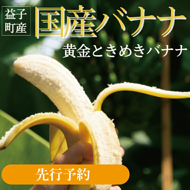 安全・安心なバナナを召し上がっていただきたいという思いのもと、 農薬を使わずに1本1本丁寧にバナナを栽培しております。 華やかな香りとねっとりとした食感をお楽しみください。 名称 黄金ときめきバナナ 内容量 バナナ 1.5kg以上 受付 通...