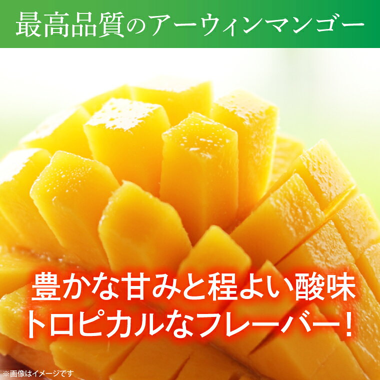 【ふるさと納税】【数量限定】益恋 マンゴー 約1kg（2～3玉）| 7月中旬より順次発送 マンゴー フルーツ 果物 新鮮 旬 益子町産 (CA005) f093424-mashiko-10000716 栃木県益子町 サンプル画像3