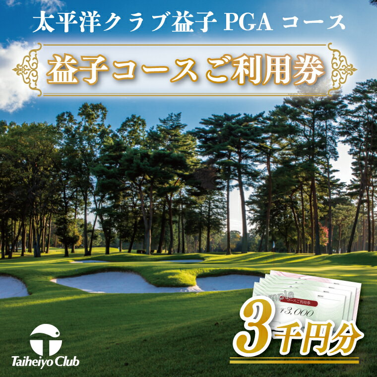 【ふるさと納税】益子PGAコース コースご利用券（3,000円分）（CC004）