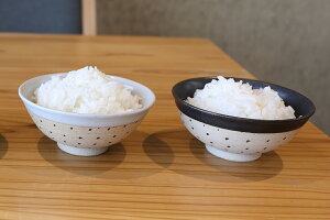 【ふるさと納税】益子焼ドット柄飯椀ペア(白地)
