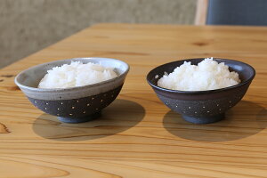 【ふるさと納税】益子焼ドット柄飯椀ペア(黒地)