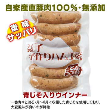【ふるさと納税】家産直豚100% とん太ファミリーのボリューム満点!益子の手作りハム工房 傑作6品セット