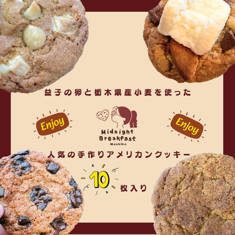 【ふるさと納税】おまかせEnjoyセット　クッキー｜栃木県 益子町 ふるさと納税 クッキー セット 手作り 焼き菓子（CF002-1）