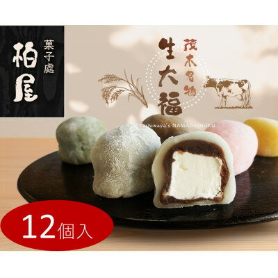 大福 【ふるさと納税】御菓子司柏屋の看板製品　生大福　12個入【配送不可地域：離島】【1284869】