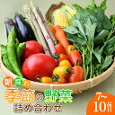 【ふるさと納税】野菜詰め合せ|夏野菜 朝採れ 野菜 詰合せ 詰め合わせ セット 季節 旬 産地直送 春野菜 秋野菜 新鮮野菜 とうもろこし じゃがいも かぼちゃ ブロッコリー 大根 白菜 季節の野菜 国産野菜 茂木産 栃木県 茂木町 もてぎプラザ