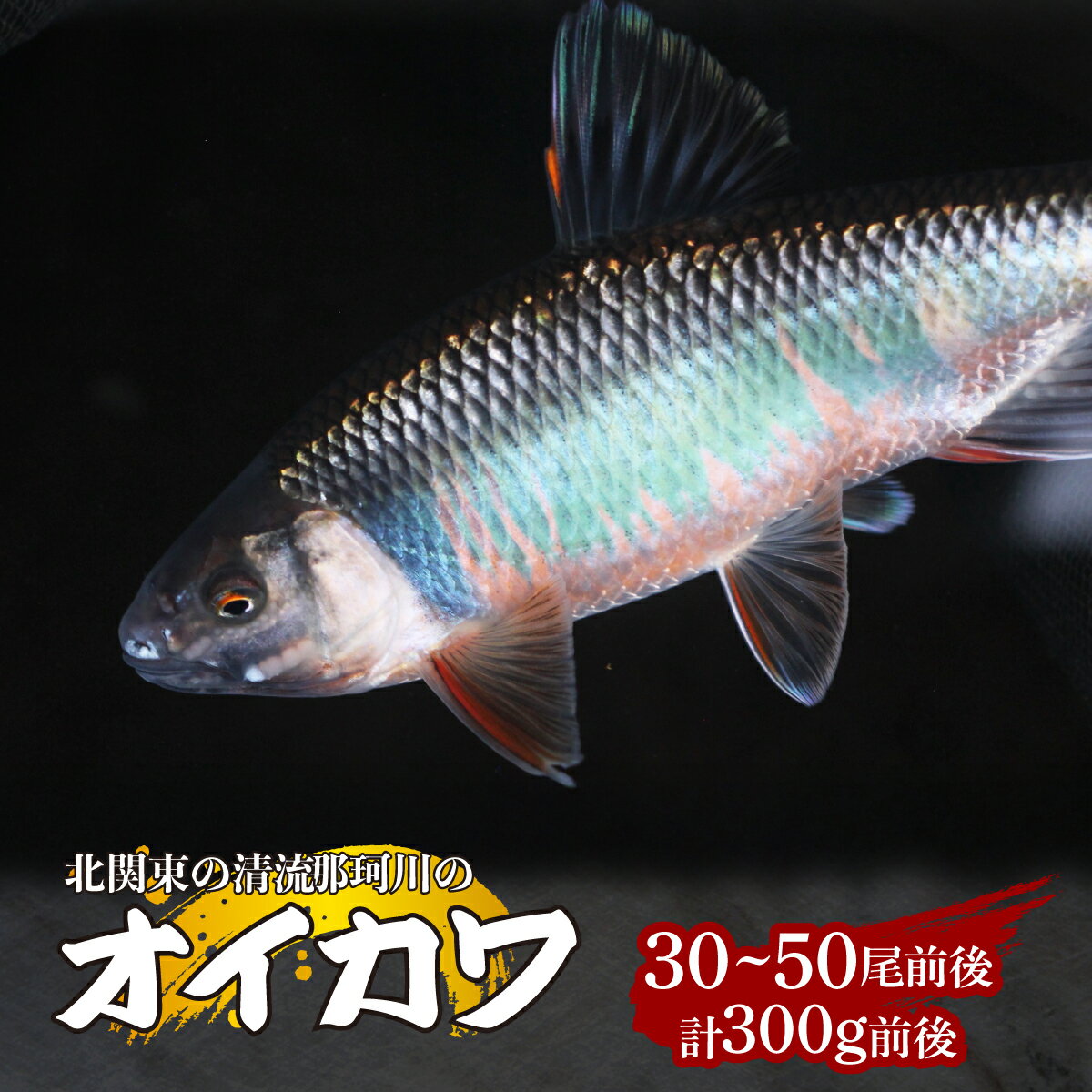 ڤդ뤵Ǽǡŷ  3050 300g  |  ŷ     ̴ ή ...