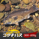 【ふるさと納税】コクチバス 北関東の清流「那珂川産」300〜400g 冷凍 | コクチバス 天然 鮮魚 川魚 釣り 新鮮 北関東 清流 唐揚げ から揚げ 素揚げ...
