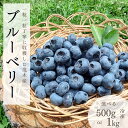 【ふるさと納税】茂木町産 冷凍ブルーベリー 選べるグラム数 500g~1kg | ブルーベリー 冷凍 フルーツ 果物 ベリー ジャム 朝食 ヨーグルト シャーベット ソース 農園コトリのよりみち 栃木県 茂木町