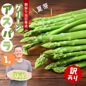 【ふるさと納税】朝採れ!新鮮!訳ありグリーンアスパラガス B品 1kg | アスパラ アスパラガス グリーンアスパラガス 夏芽 朝採れ 新鮮 料理 野菜 サラダ 美土里農園 栃木県 茂木町