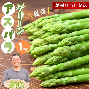 【ふるさと納税】朝採れ!新鮮!グリーンアスパラガス 1kg | アスパラ アスパラガス グリーンアスパラガス 夏芽 朝採れ 新鮮 料理 野菜 サラダ 美土里農園 栃木県 茂木町
