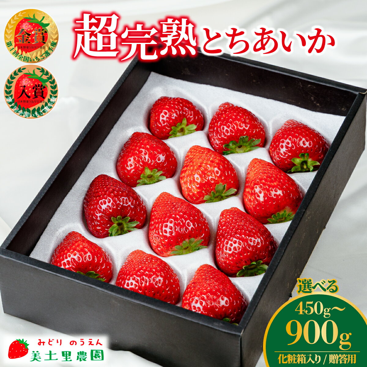 【ふるさと納税】＜2026年先行予約＞いちご 「茂木完熟いちご」 美土里農園の朝採れ とちあいか ギフト 450g 900g 選べる発送月＆内容量 | いちご イチゴ 苺 とちあいか 完熟 果物 フルーツ 贈答 ギフト プレゼント 美土里農園 栃木県 茂木町