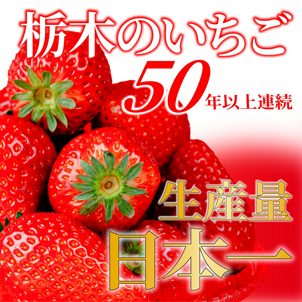 【ふるさと納税】＜2026年先行予約＞いちご 「茂木完熟いちご」 美土里農園の朝採れ とちあいか ギフト 450g 900g 選べる発送月＆内容量 | いちご イチゴ 苺 とちあいか 完熟 果物 フルーツ 贈答 ギフト プレゼント 美土里農園 栃木県 茂木町
