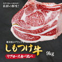 1位! 口コミ数「0件」評価「0」しもつけ牛のリブロース 部位食べ比べ9kg | 牛肉 肉 お肉 焼肉 ステーキ 産地直送 国産 国産牛 赤身 霜降り 希少 旨味 旨み 熟成 テクニカン テクニカン社 スキンパック 真空パック 真空包・・・