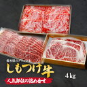 【ふるさと納税】しもつけ牛の人気部位の詰め合せ4kg | 牛肉 肉 お肉 バーベキュー 焼肉 カルビ サーロイン ステーキ 人気 産地直送 国産 国産牛 交雑 赤身 霜降り 希少 旨味 旨み 熟成 急速冷凍 テクニカン スキンパック 真空パック 真空包装 コトラミート 栃木県 茂木町(4)