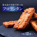 【ふるさと納税】フロランタン 茂木町産米粉100% 12個 セット | 米粉 コシヒカリ 手土産 お土産 ギフト プレゼント ナッツ クッキー キャラメル 焼き菓子 常温 焼菓子 いちご ブルーベリー グルテンフリー コーヒー バター アーモンド もてぎプラザ 栃木県 茂木町