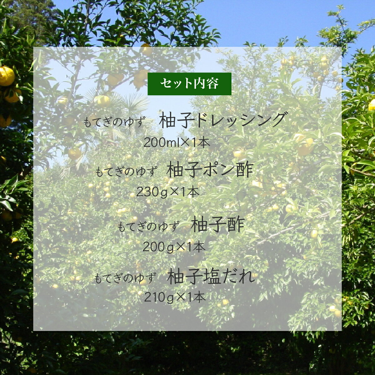 【ふるさと納税】茂木産ゆずを使用！4種のドレッシングセット 保存料・着色料・香料不使用 | ゆず ポン酢 酢 調味料 サラダ 野菜 ノンオイル ヘルシー マリネ カルパッチョ ソーダ 料理 ラーメン 餃子 ヨーグルト 詰め合わせ しゃぶしゃぶ 焼肉 もてぎプラザ 栃木県 茂木町