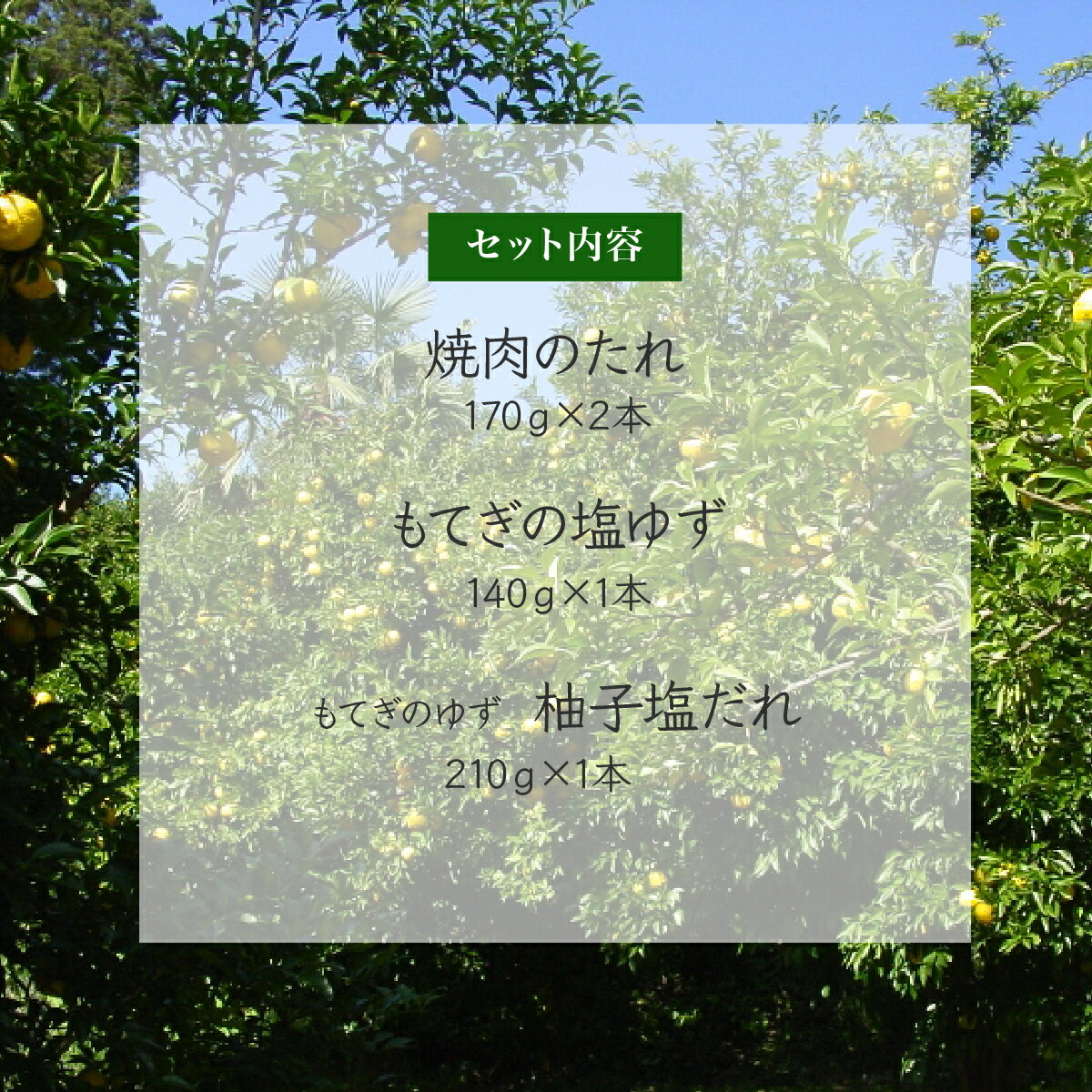 【ふるさと納税】茂木産ゆずを使用！3種の焼肉のたれセット 保存料・着色料・香料不使用 | ゆず 柚子 トッピング 柑橘 焼肉 タレ しおゆず 無着色 保存料 不使用 調味料 ドレッシング 冷奴 バーベキュー 肉 野菜 ノンオイル 揚げ物 焼きそば もてぎプラザ 栃木県 茂木町
