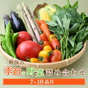 【ふるさと納税】野菜詰め合せ|夏野菜 朝採れ 野菜 詰合せ 詰め合わせ セット 季節 旬 産地直送 春野菜 秋野菜 新鮮野菜 とうもろこし じゃがいも かぼちゃ ブロッコリー 大根 白菜 季節の野菜 国産野菜 茂木産 栃木県 茂木町 もてぎプラザ
