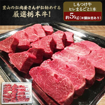 【ふるさと納税】里山のお肉屋さんがお勧めする厳選栃木牛!しもつけ牛 ヒレまるごと1本【配送不可地域...