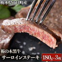 【ふるさと納税】栃木県市貝町産 栃の木黒牛サーロインステーキ≪牛肉 国産 おうちごはん ご褒美 冷凍 記念日 ギフト プレゼント 贅沢≫ 離島不可 北海道 沖縄本島は配送可能 