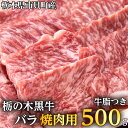 【ふるさと納税】栃木県市貝町産　栃の木黒牛バラ焼肉 ≪牛肉 国産 おうちごはん やきにく ご褒美 冷凍 記念日 ギフト プレゼント 贅沢≫※離島不可（北海道、沖縄本島は配送可能）