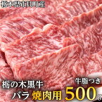 【ふるさと納税】栃木県市貝町産　栃の木黒牛バラ焼肉 ≪牛肉 国産 おうちごはん やきにく ご褒美 冷凍 記念日 ギフト プレゼント 贅沢≫※離島不可（北海道、沖縄本島は配送可能）