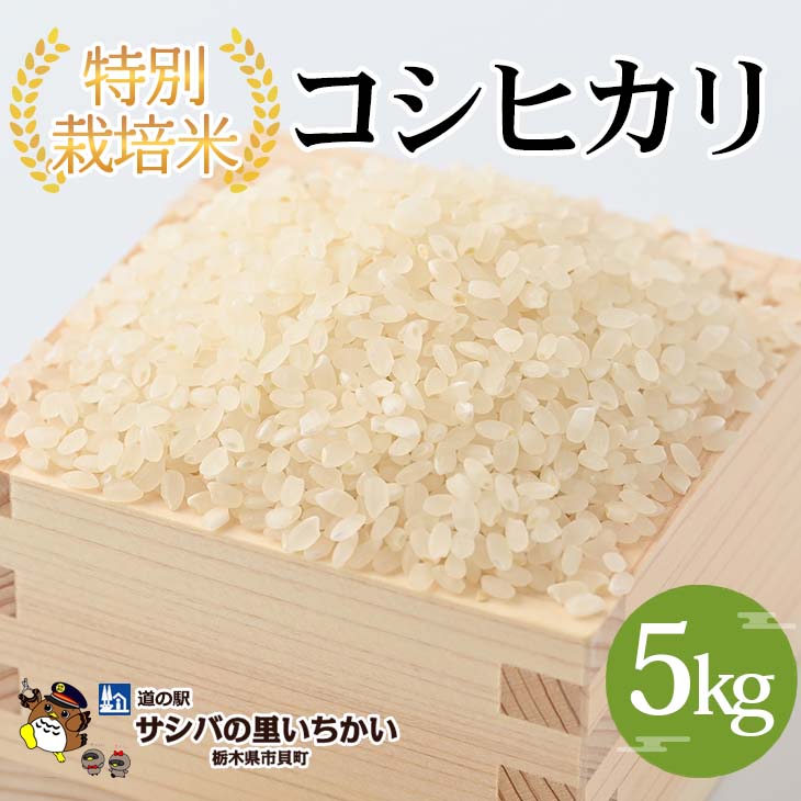 人気ランキング第39位「栃木県市貝町」口コミ数「0件」評価「0」特別栽培米〈コシヒカリ〉5kg ※離島不可（北海道、沖縄本島は配送可能）※着日指定不可 | 国産 栃木県産 コシヒカリ 米 お米 特別栽培米 精米 白米 栃木米 とちぎ米 産地直送 送料無料