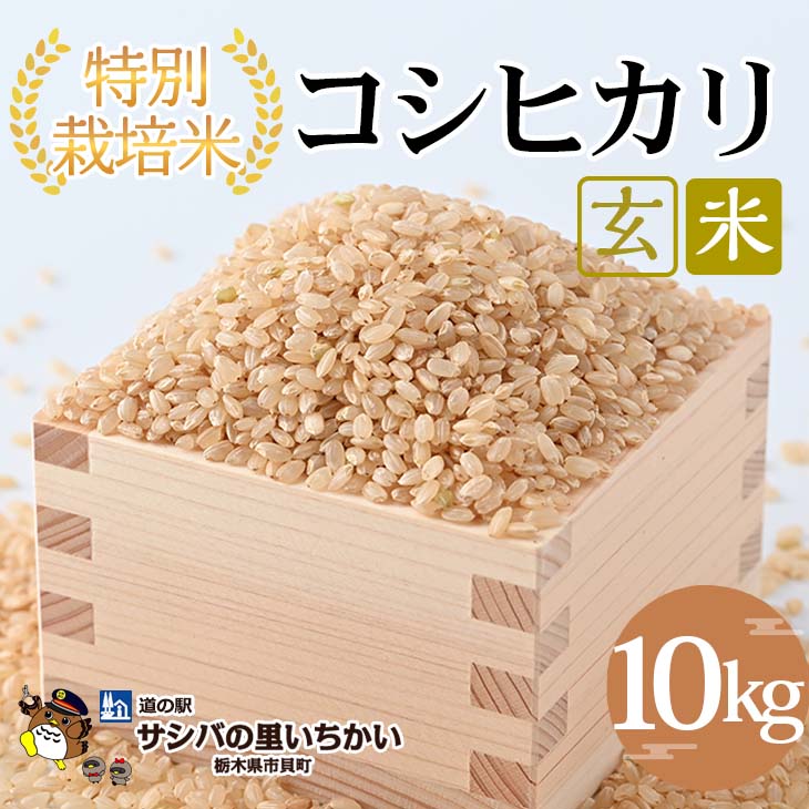 44位! 口コミ数「0件」評価「0」特別栽培米　玄米〈コシヒカリ〉10kg ※離島不可（北海道、沖縄本島は配送可能）※着日指定不可 | 国産 栃木県産 コシヒカリ 米 お米 特･･･ 