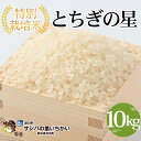 人気ランキング第18位「栃木県市貝町」口コミ数「0件」評価「0」特別栽培米　精米〈とちぎの星〉10kg ※離島不可（北海道、沖縄本島は配送可能）※着日指定不可 | 国産 栃木県産 とちぎの星 米 お米 特別栽培米 精米 白米 栃木米 とちぎ米 米の食味ランキング特A評価 産地直送 送料無料