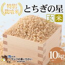 【ふるさと納税】特別栽培米 玄米〈とちぎの星〉10kg | 国産 栃木県産 とちぎの星 米 お米 特別栽培米 玄米 栃木米 とちぎ米 米の食味..